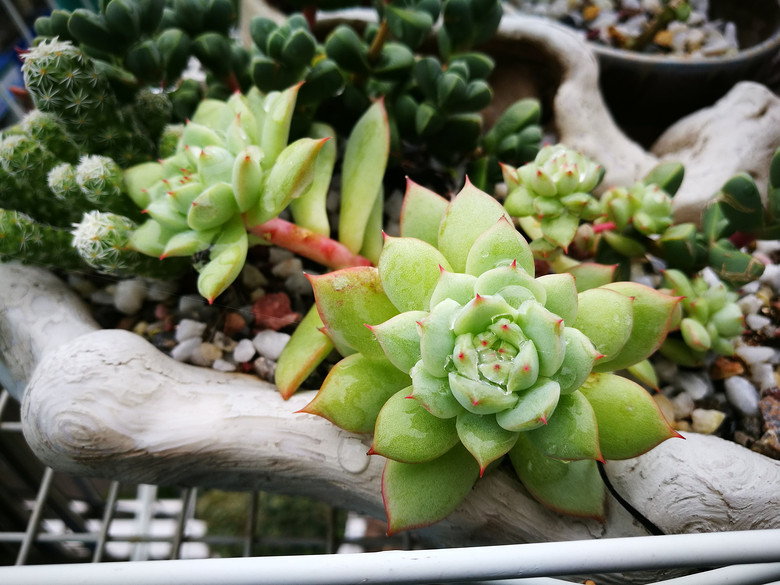 [�ֵ���õ�һ�����]