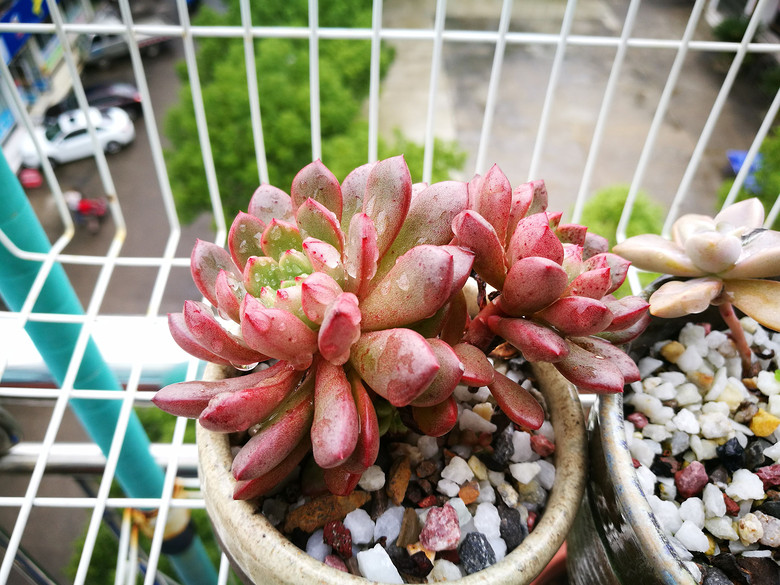 [�ֵ���õ�һ�����]