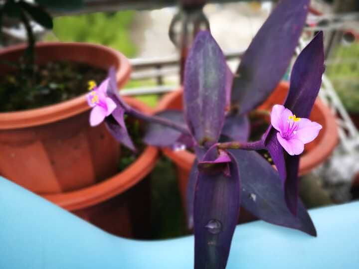 [�ֵ���õ�һ�����]