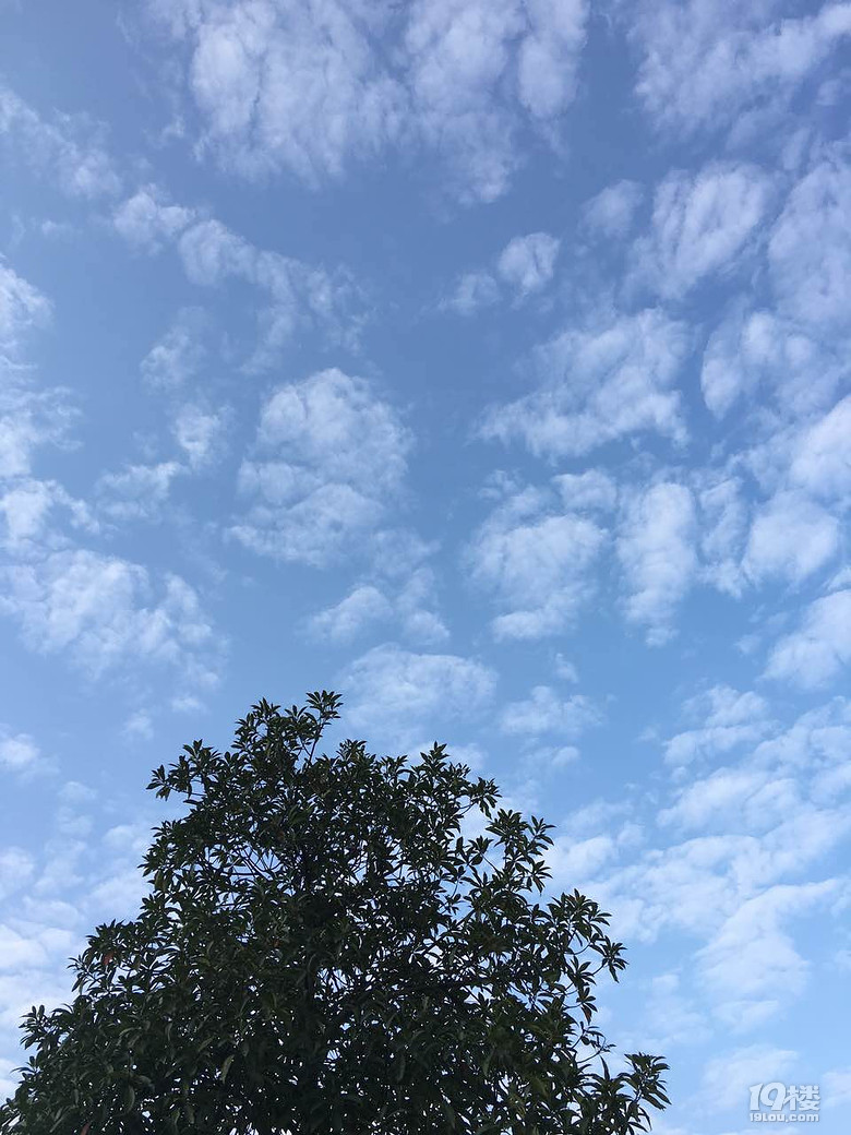 天气那么好来个小度娘一起欣赏美景