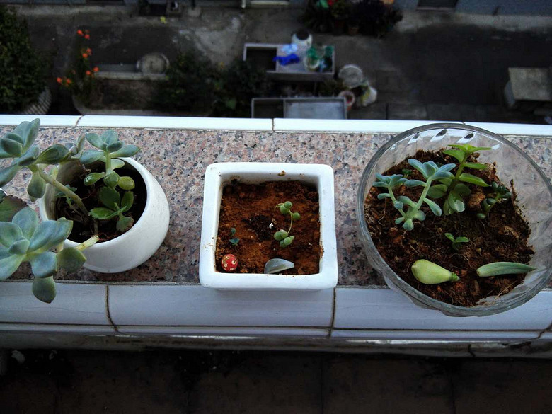 �ֵ���õ�һ�����