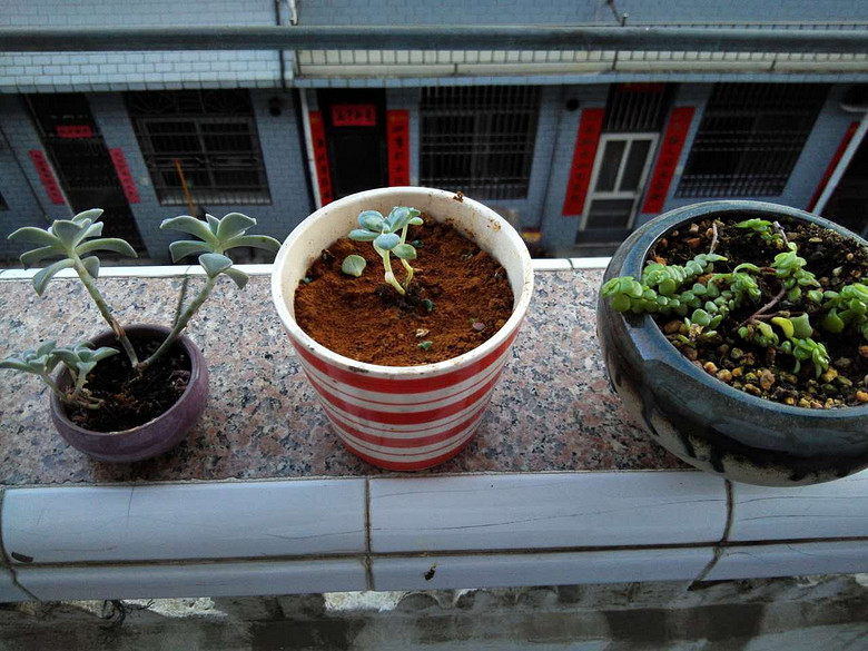 �ֵ���õ�һ�����