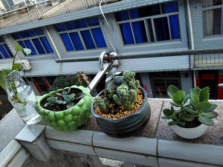 �ֵ���õ�һ�����