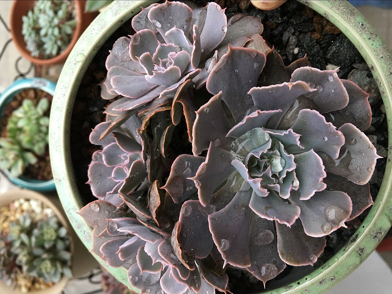 �ֵ���õ�һ�����