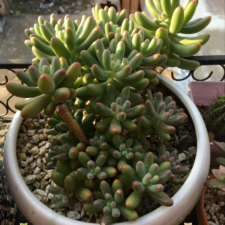 �ֵ���õ�һ�����