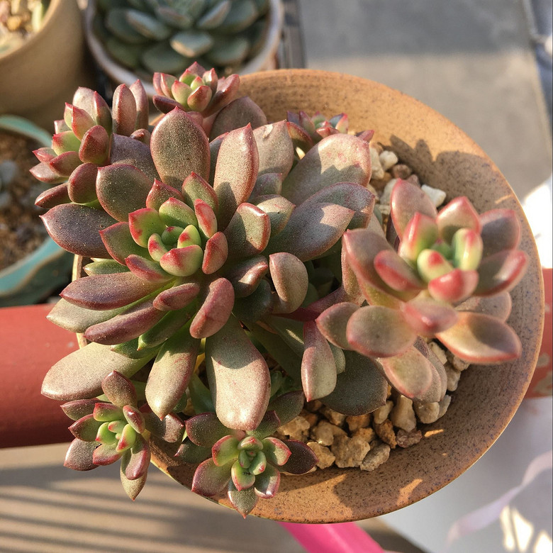 �ֵ���õ�һ�����