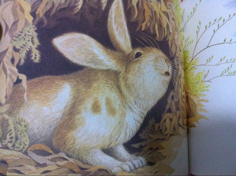 �������ļ������Ǽҵڶ��η���