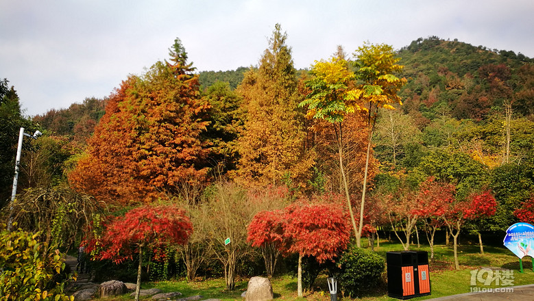 中央山公園秋色-遊記攻略-台州旅遊-台州19樓