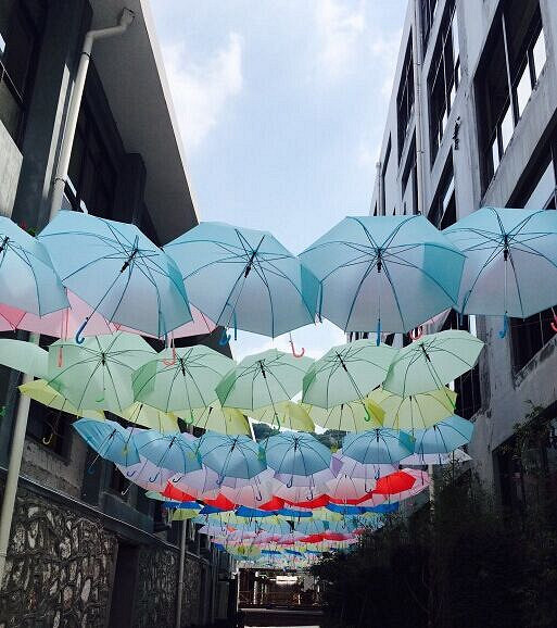 2016̨�ݶ������չ����