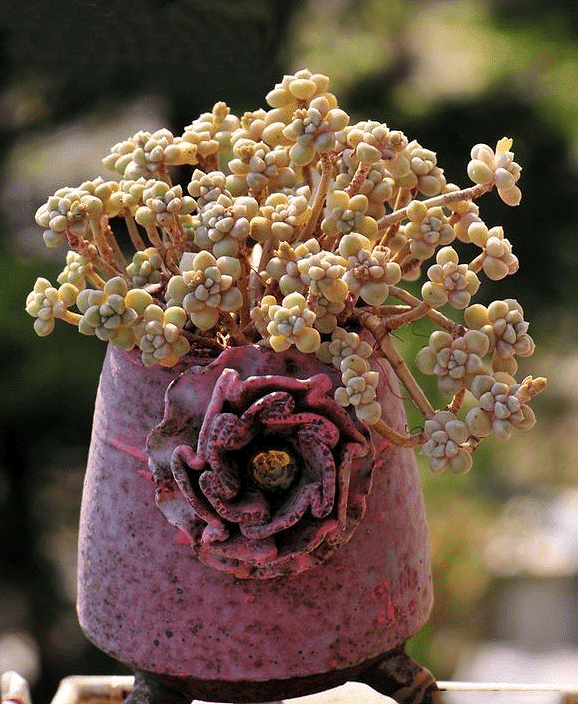 2016̨�ݶ������չ����