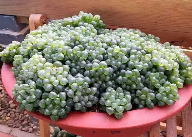 2016̨�ݶ������չ����