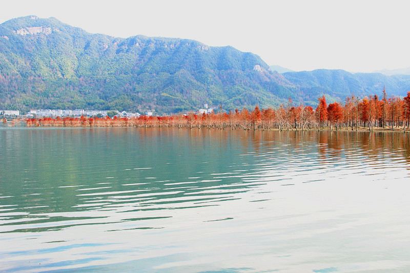 【旅遊日記】長潭庫區上垟紅樹林必將名聲遠揚——華峰