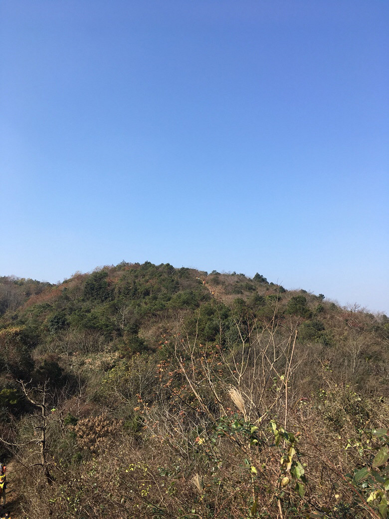 两条单身狗的跨年日常