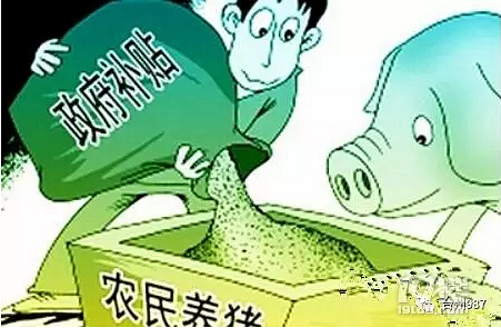 @台州农民,2017年农村补贴有新政,这十项补贴