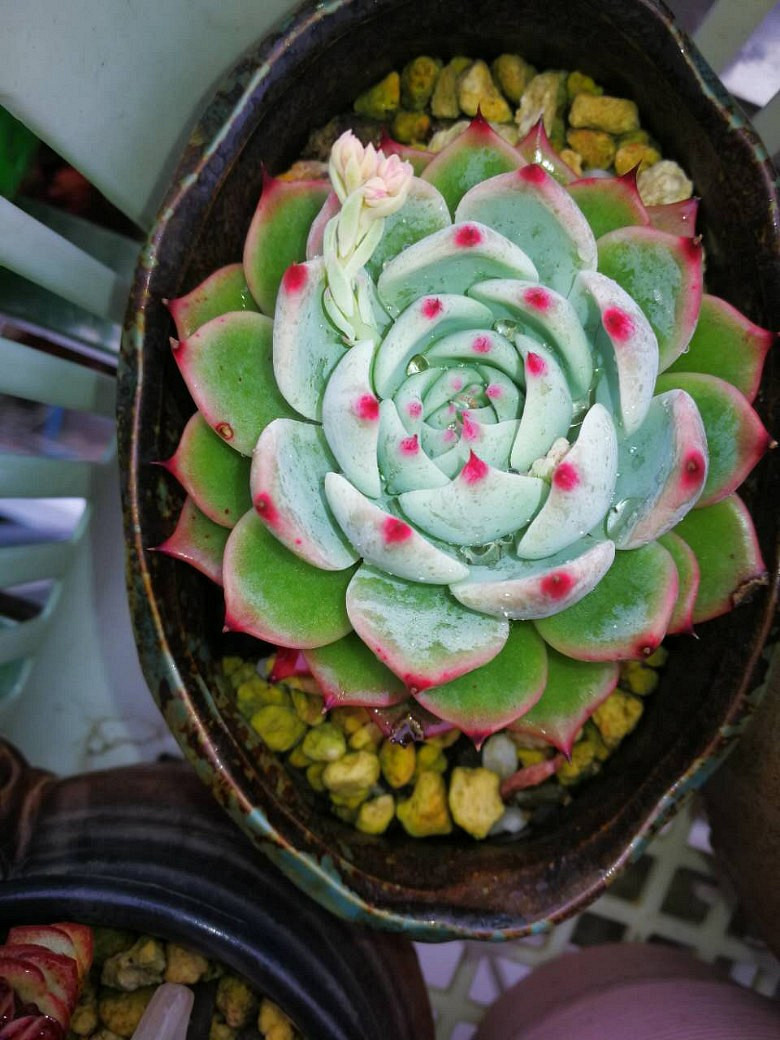 �ջ�����