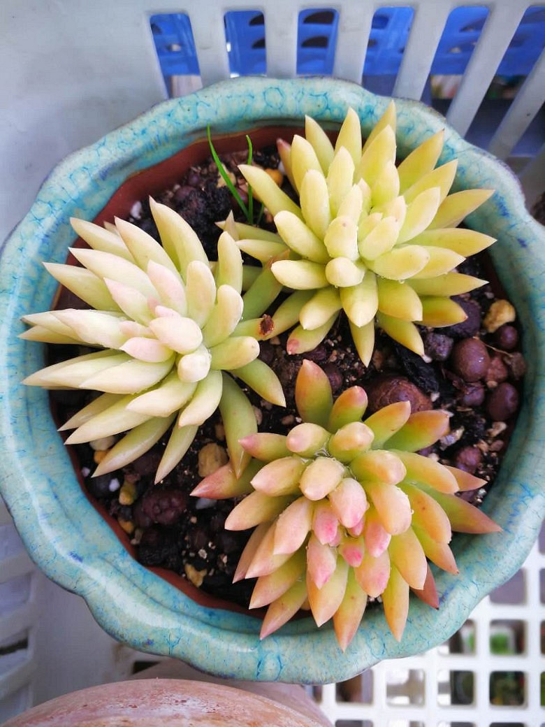 �ջ�����