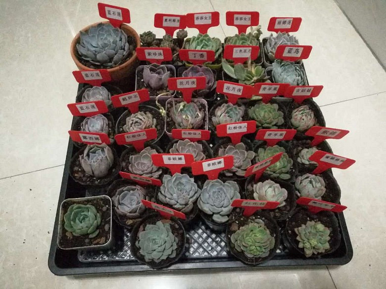 �ջ�����