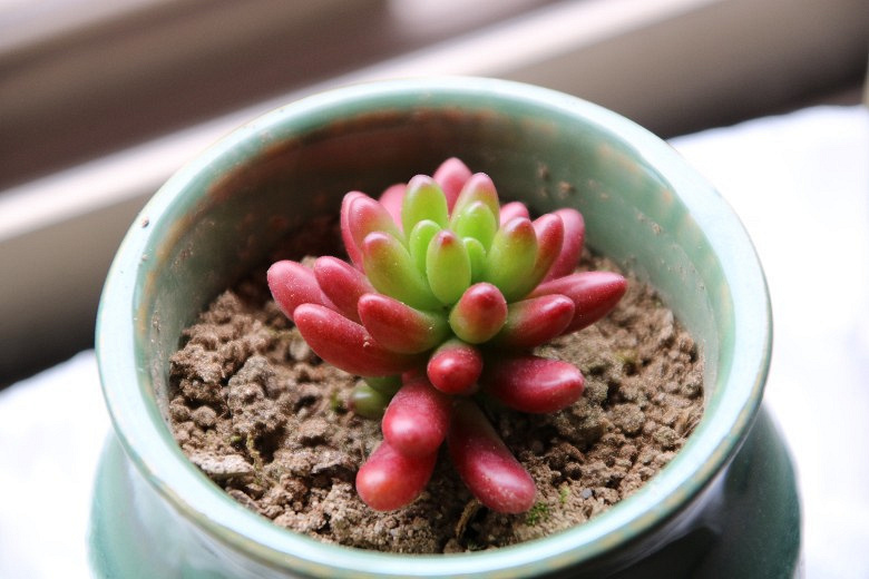 �ҵĶ�����Ů�� ��֮�� �׼�֮��......