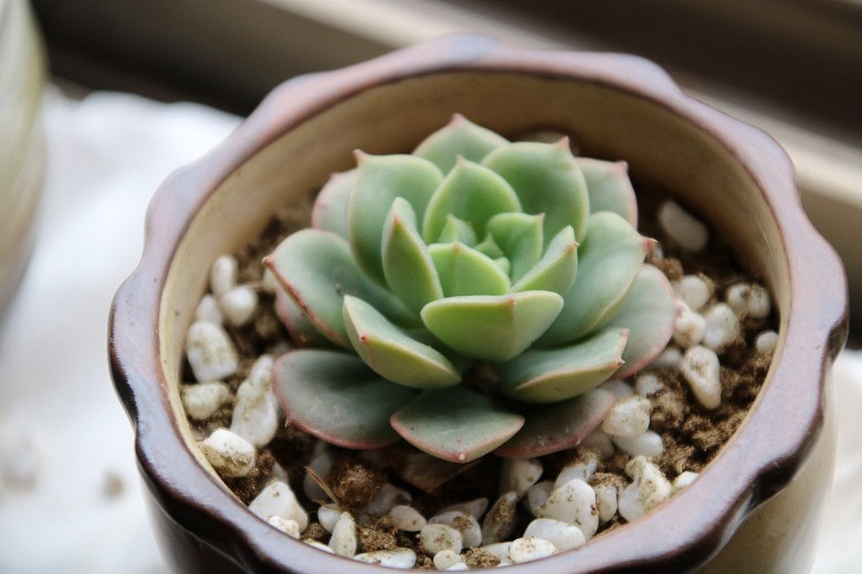 �ҵĶ�����Ů�� ��֮�� �׼�֮��......