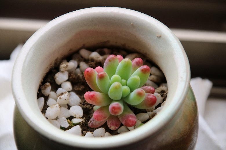 �ҵĶ�����Ů�� ��֮�� �׼�֮��......