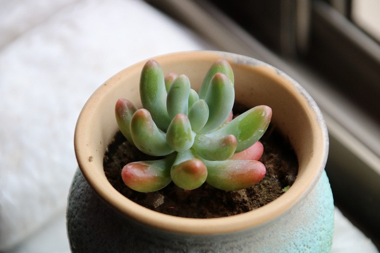 �ҵĶ�����Ů�� ��֮�� �׼�֮��......