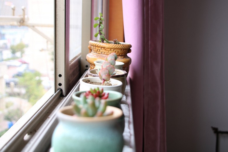 �ҵĶ�����Ů�� ��֮�� �׼�֮��......