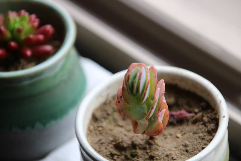 �ҵĶ�����Ů�� ��֮�� �׼�֮��......