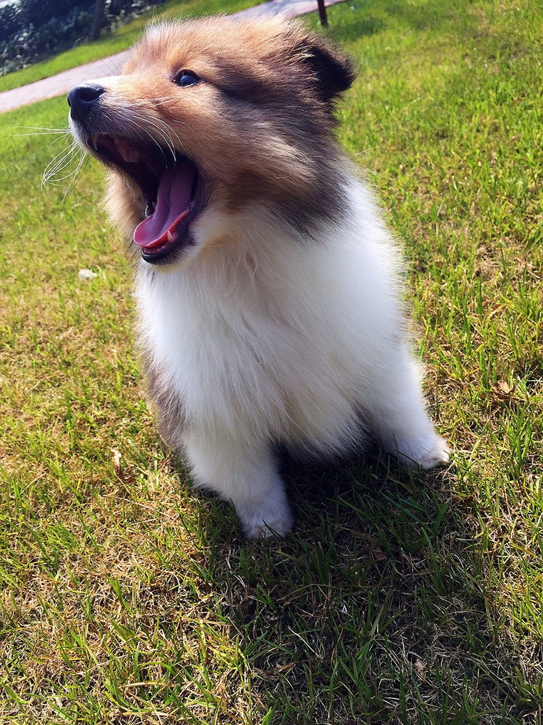 ����Kϲ �������ˣ�¶һ�£�