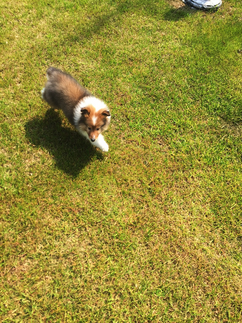 ����Kϲ �������ˣ�¶һ�£�