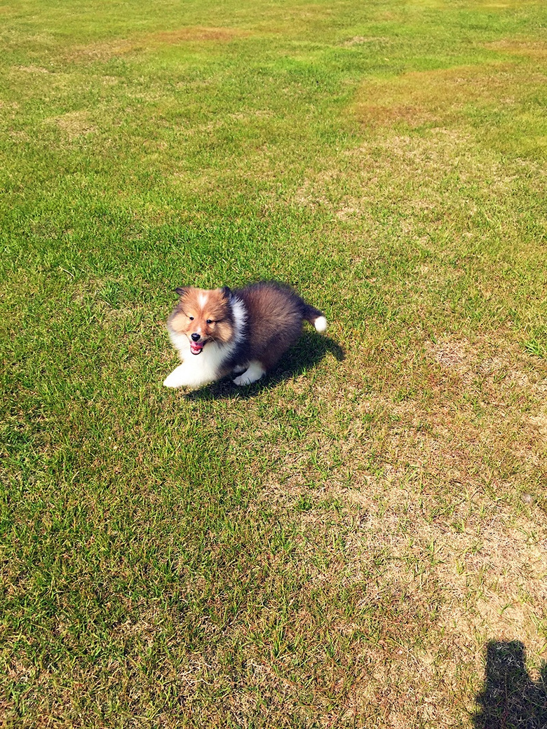 ����Kϲ �������ˣ�¶һ�£�