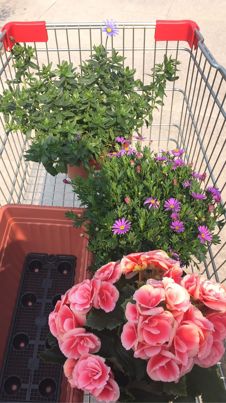 ��Խ����̨������ ������