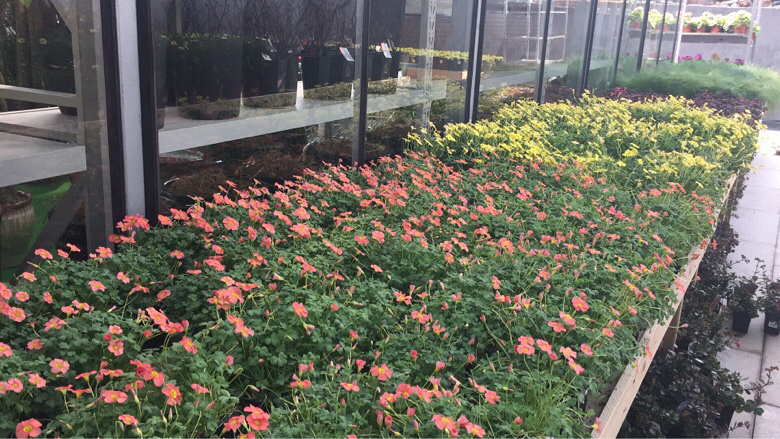 ��Խ����̨������ ������