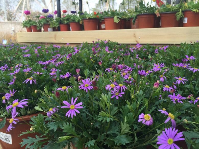 ��Խ����̨������ ������