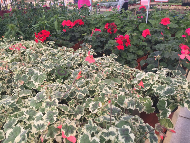 ��Խ����̨������ ������