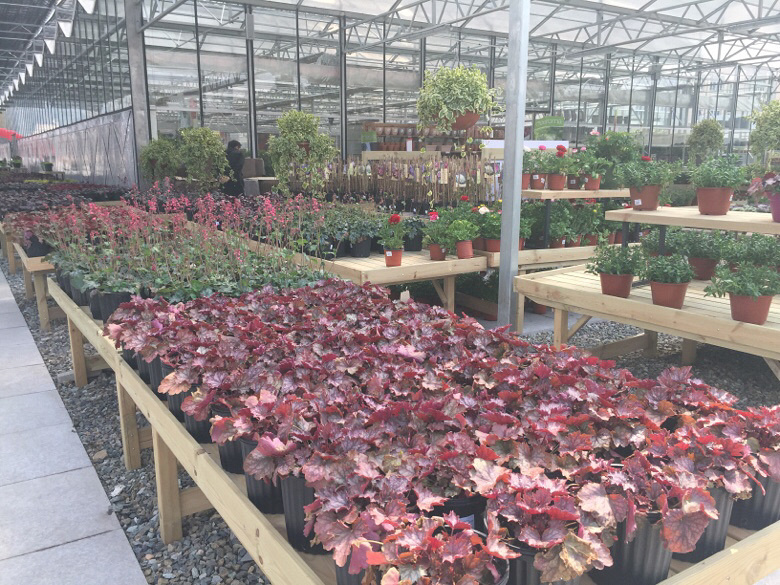 ��Խ����̨������ ������