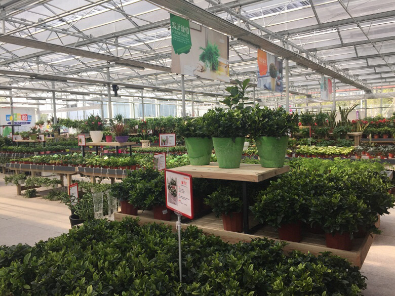 ��Խ����̨������ ������