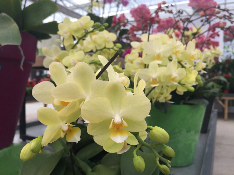 ��Խ����̨������ ������