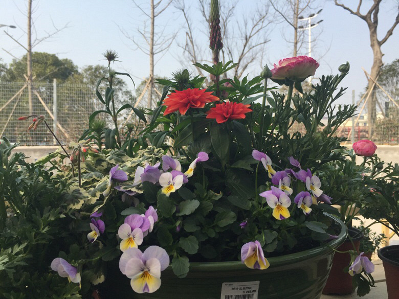 ��Խ����̨������ ������