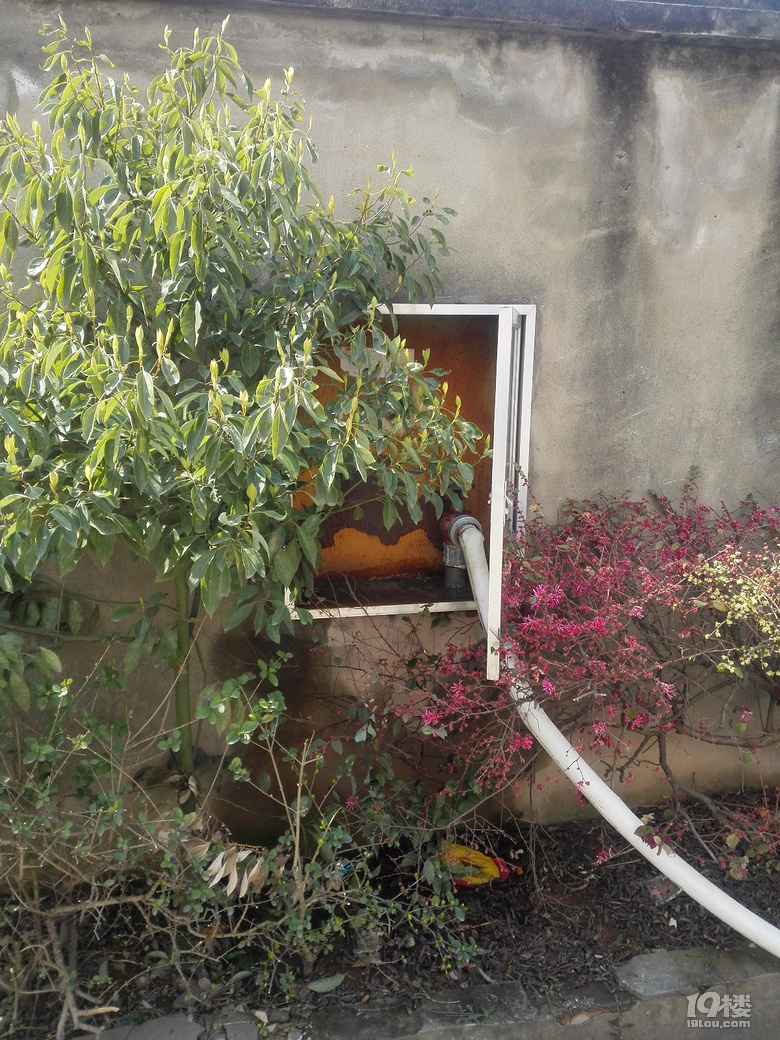 消防栓用水冲洗河道后续清可见底