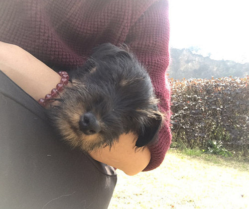 ������˫Ѫͳ�Թ���������������~