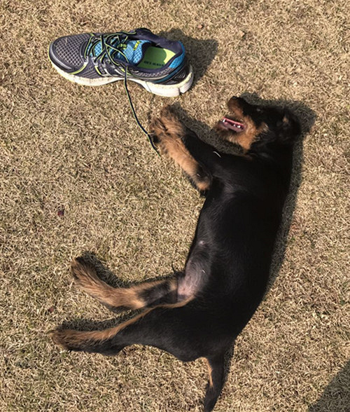 ������˫Ѫͳ�Թ���������������~