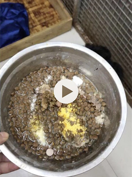 ������˫Ѫͳ�Թ���������������~