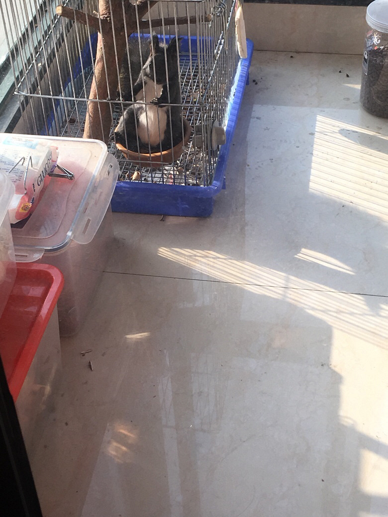 �Ҽұı�Ҳ��������