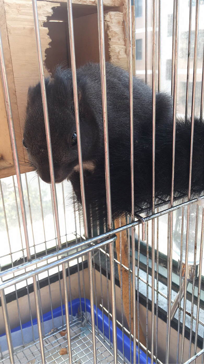 �Ҽұı�Ҳ��������