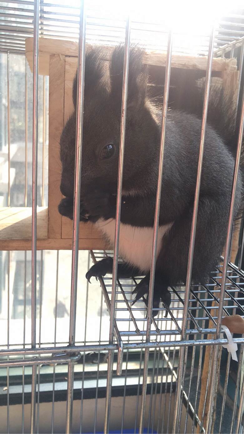 �Ҽұı�Ҳ��������