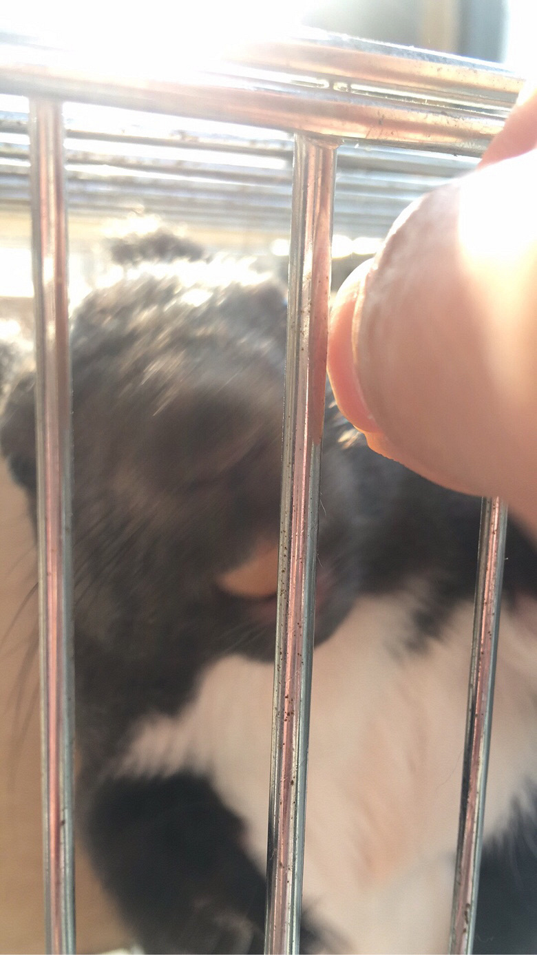 �Ҽұı�Ҳ��������