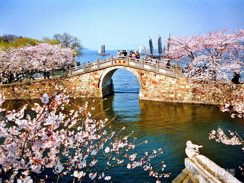 春天花事32526无锡鼋头渚赏樱花和木渎古镇石湖景区