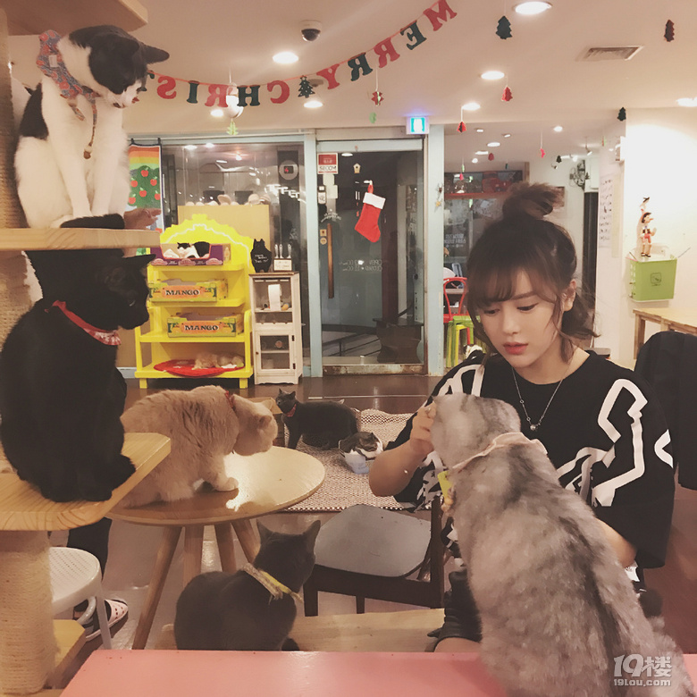 席中酒 杯杯先敬有钱人-单身男女-台州19楼