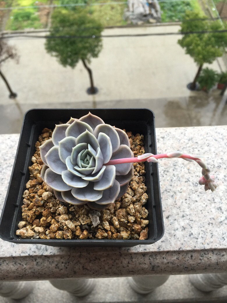 ���˴�ͼ����