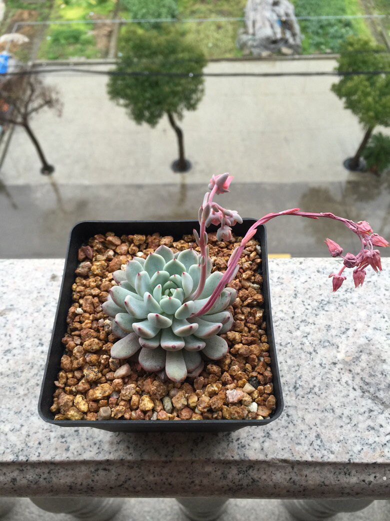 ���˴�ͼ����